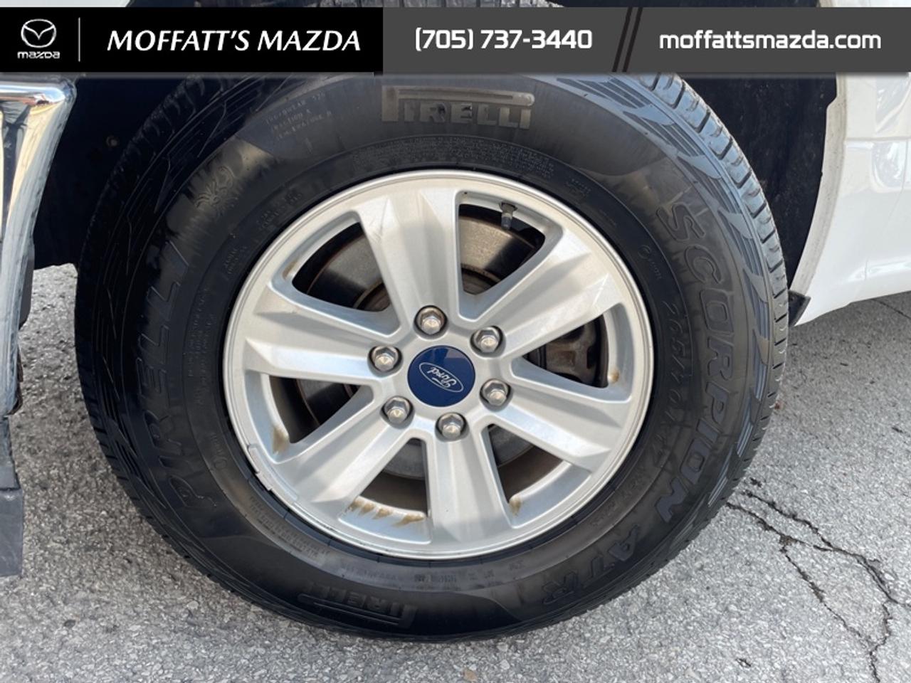 2019 Ford F-150 XL Photo
