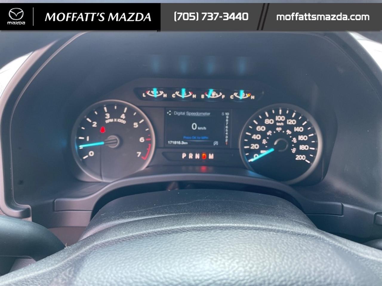2019 Ford F-150 XL Photo