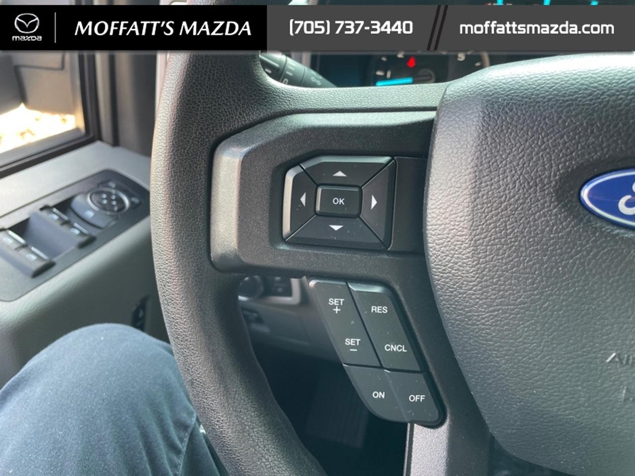 2019 Ford F-150 XL Photo