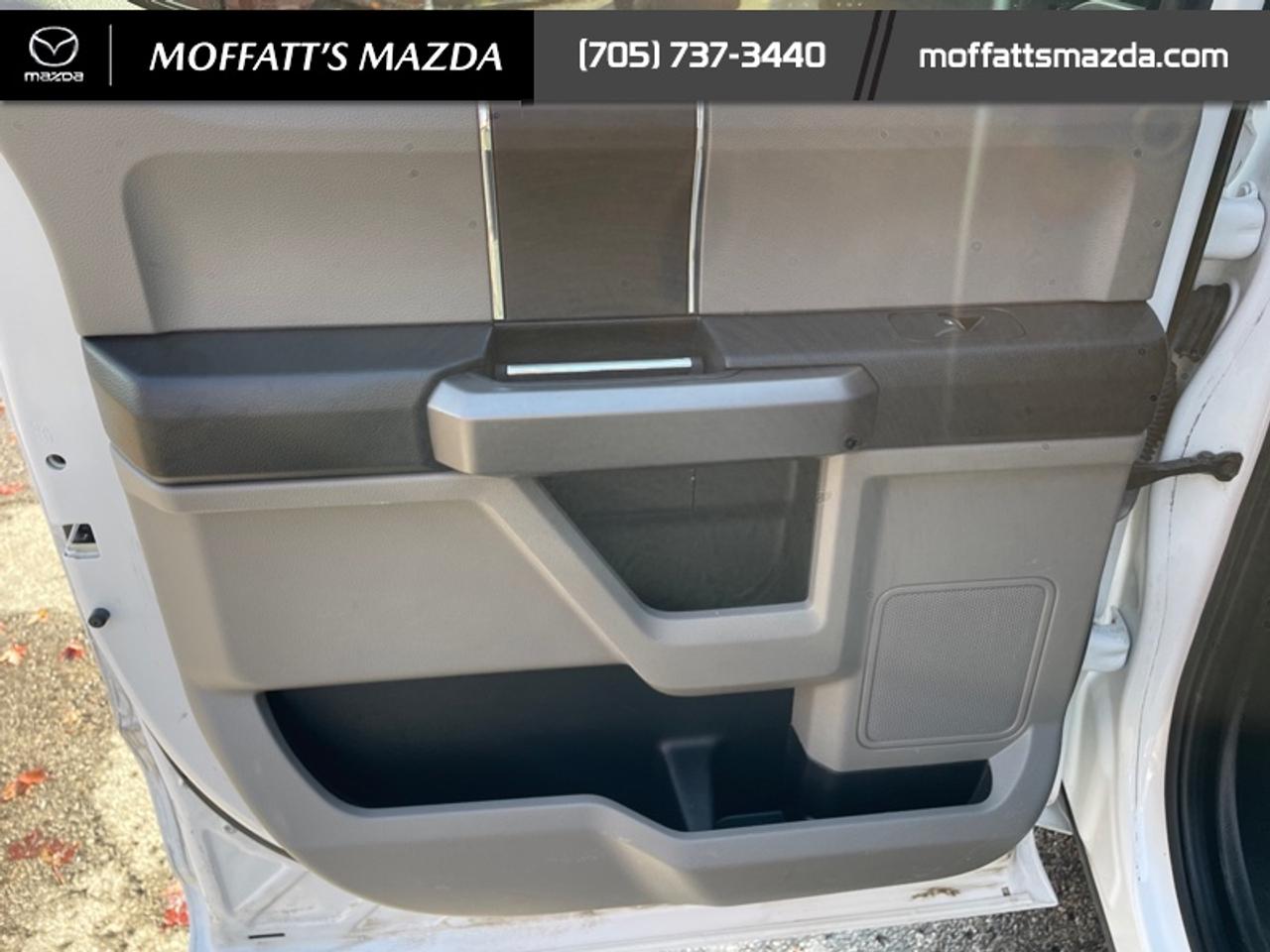 2019 Ford F-150 XL Photo
