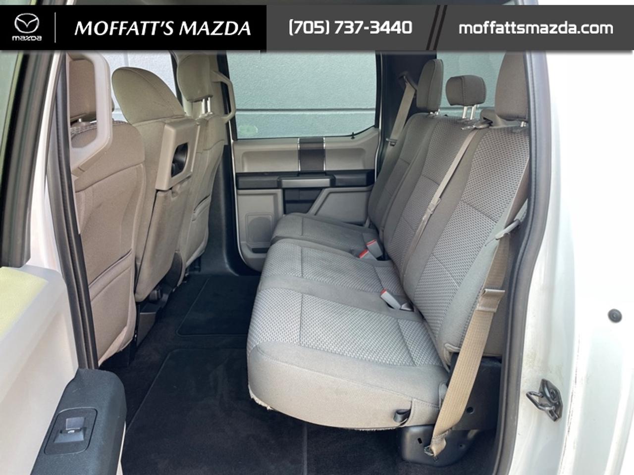 2019 Ford F-150 XL Photo