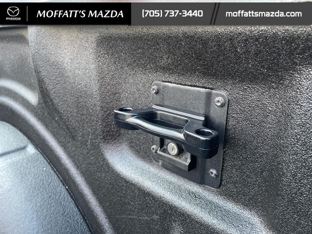 2019 Ford F-150 XL Photo