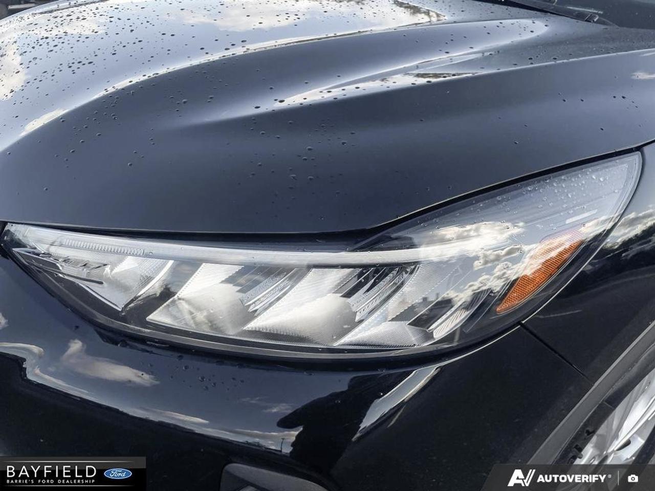 2023 Ford Escape Active Photo