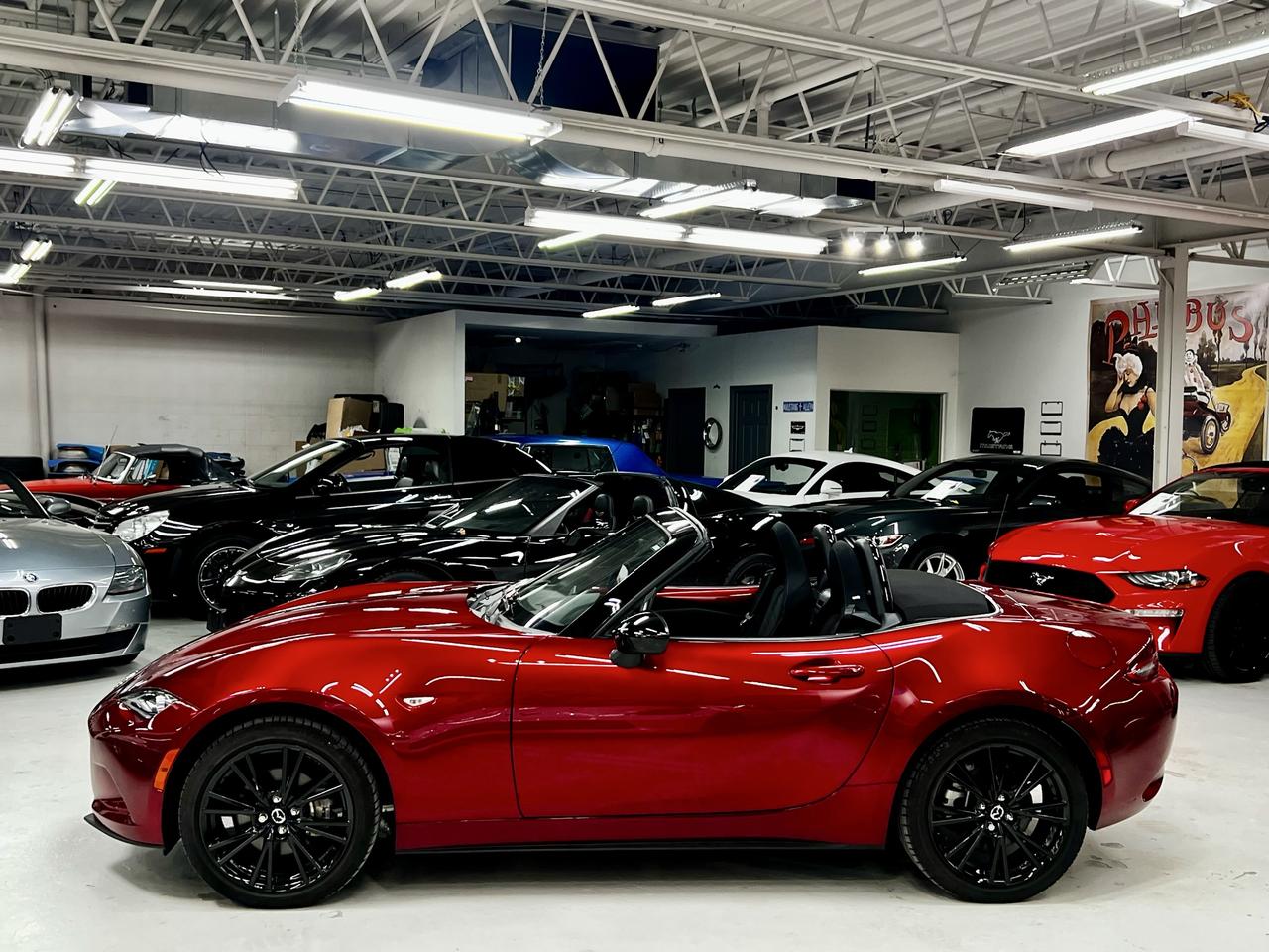 2025 Mazda Miata MX-5 GS-P Photo
