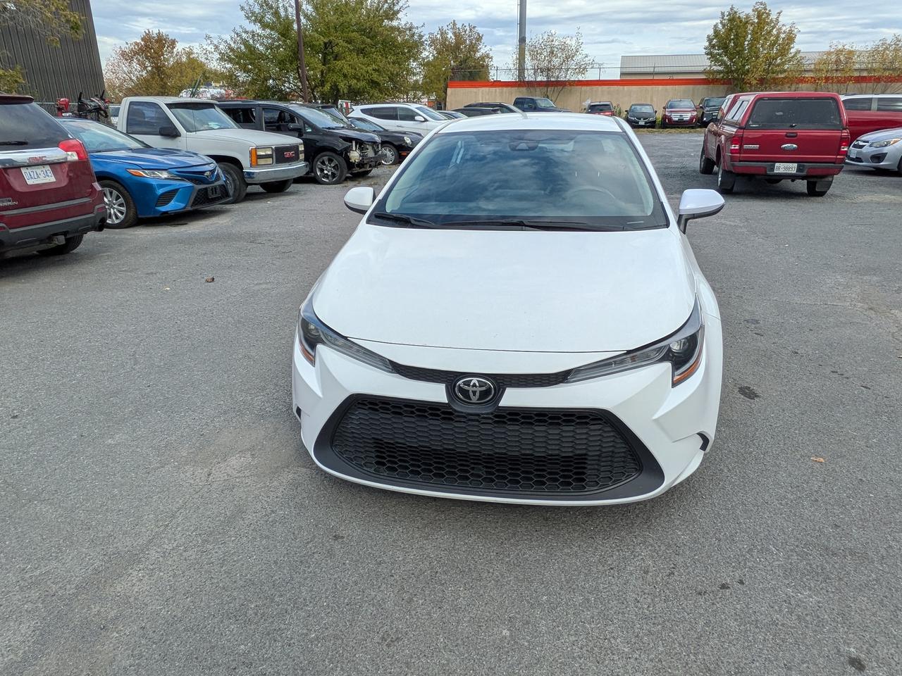 2022 Toyota Corolla L Photo