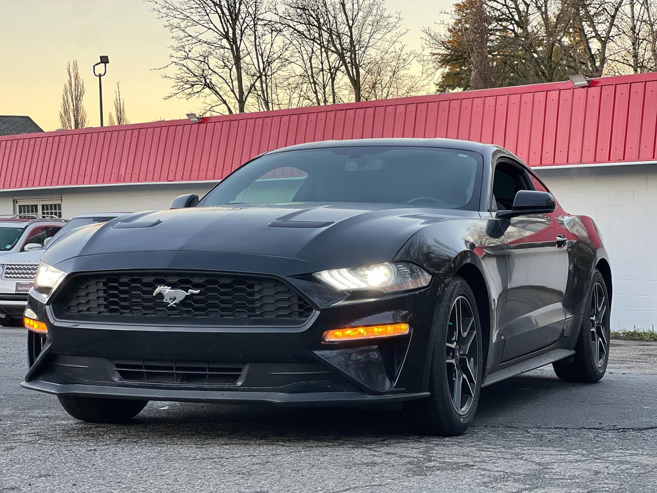 2019 Ford Mustang