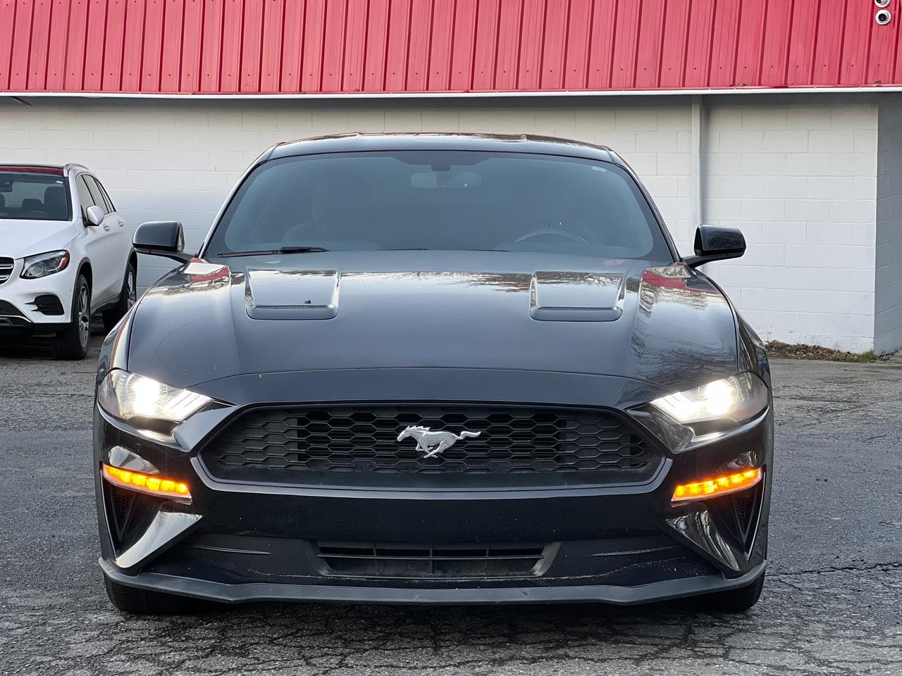 2019 Ford Mustang