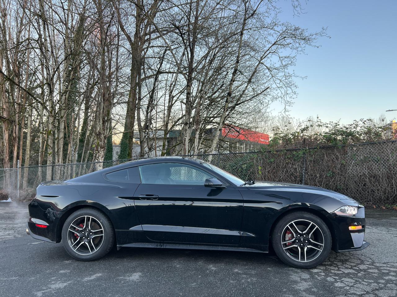 2019 Ford Mustang