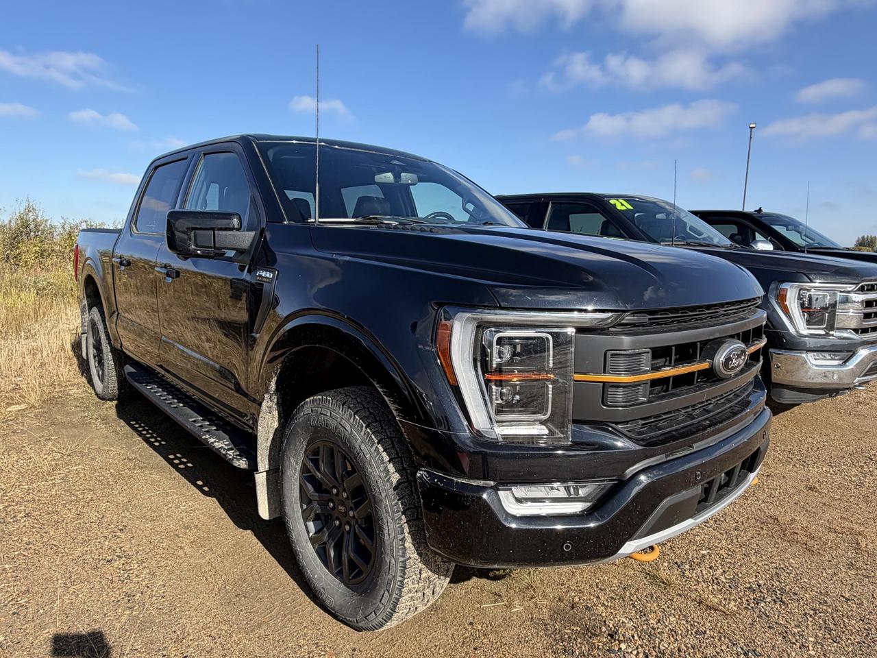 2023 Ford F-150 Tremor Photo0