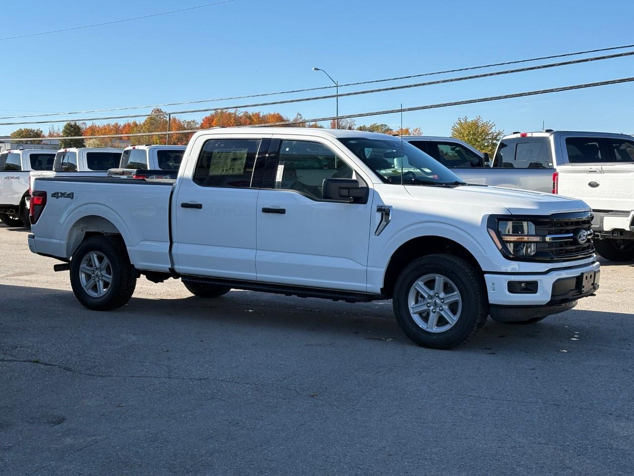 2026 Ford F-150 XLT 4WD SuperCrew 6.5' Box Photo