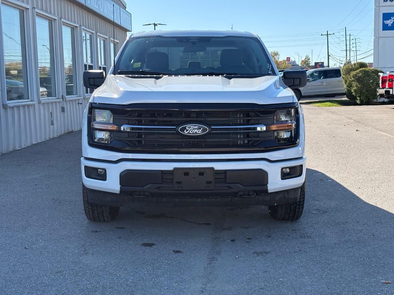2026 Ford F-150 XLT 4WD SuperCrew 6.5' Box Photo3