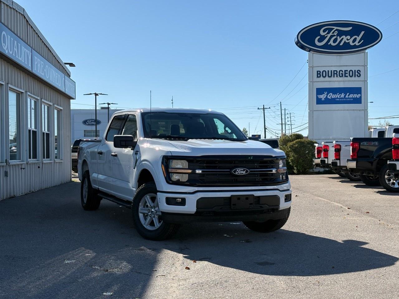 2026 Ford F-150 XLT 4WD SuperCrew 6.5' Box Photo