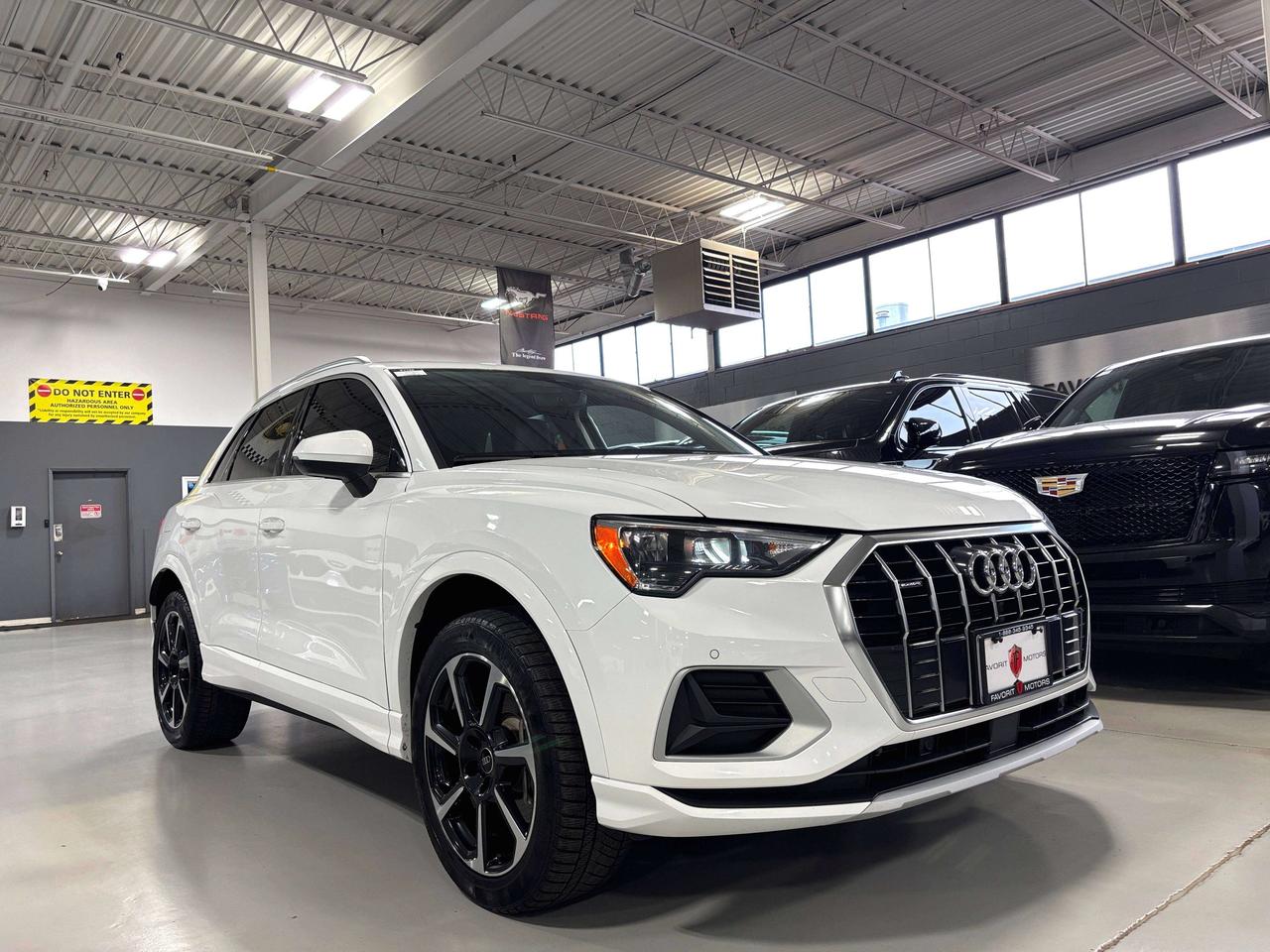 2023 Audi Q3 Progressiv|QUATTRO|CLUSTERNAV|AMBIENT|LEATHER|PANO Photo5