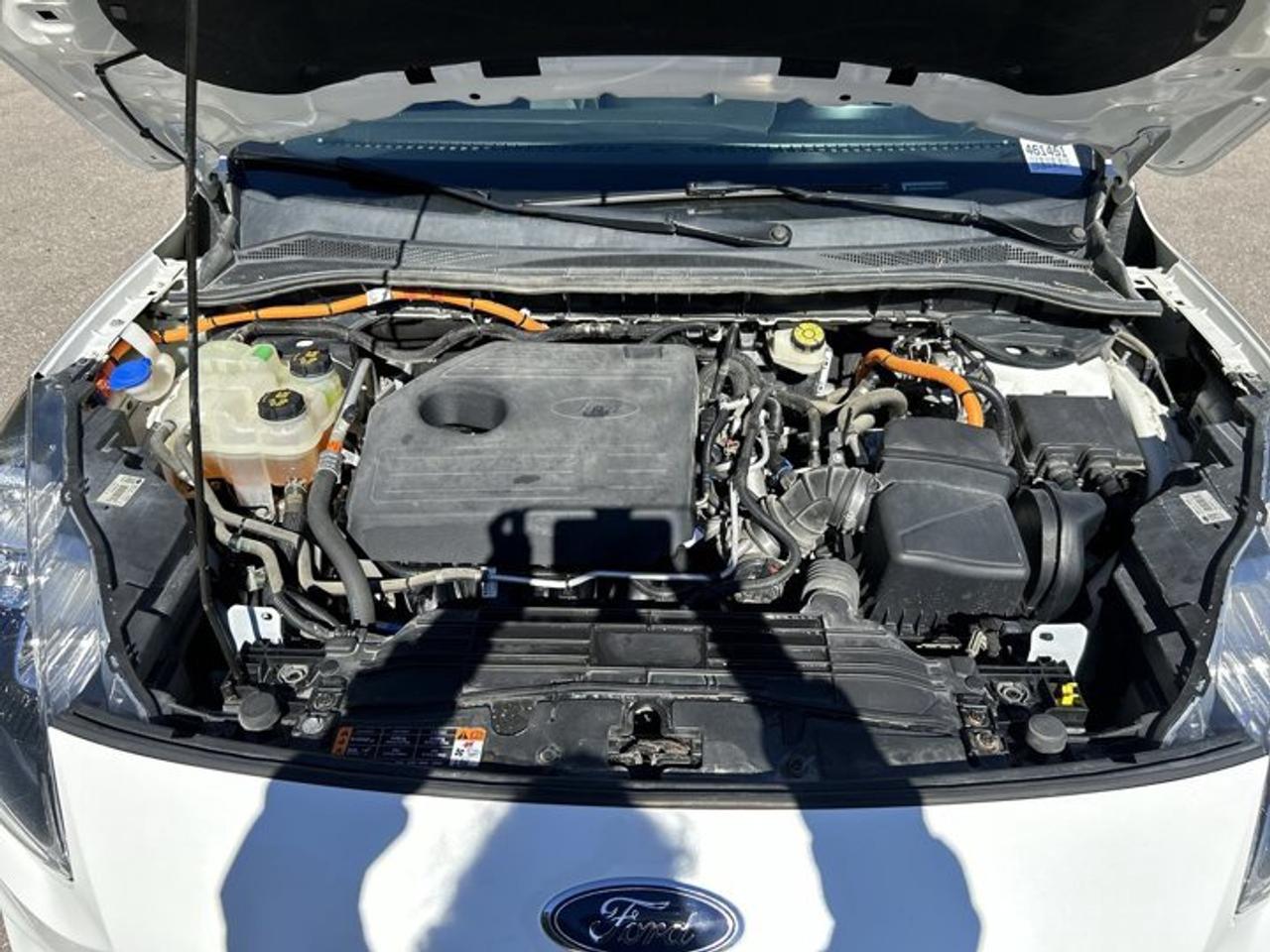 2020 Ford Escape Titanium Hybrid AWD | No Accidents | Pano. Sunroof | Leather Photo