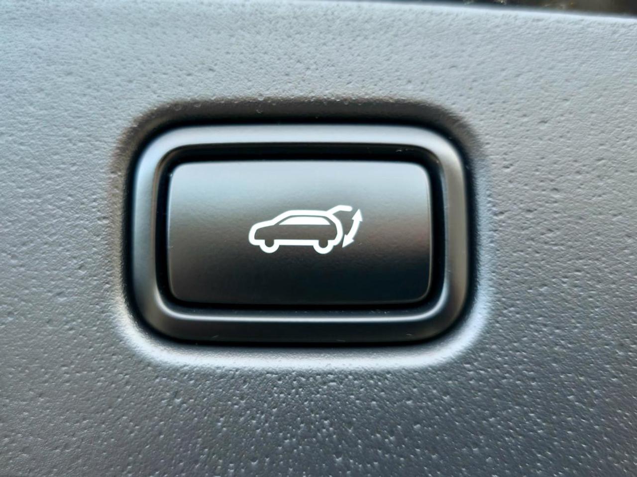 2025 Kia NIRO  Photo
