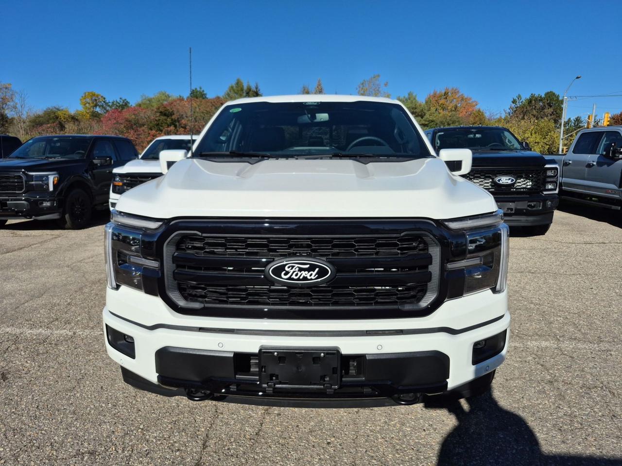 2026 Ford F-150 LARIAT, MOONROOF, BLACK PKG, TOW/HAUL PKG Photo5