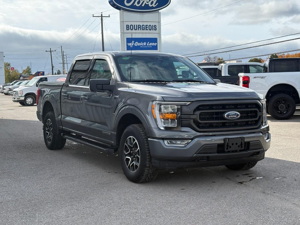 2023 Ford F-150 XLT 4WD SuperCrew 5.5' Box Photo3