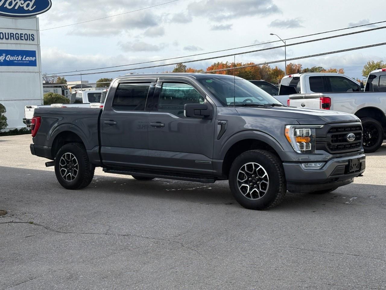 2023 Ford F-150 XLT 4WD SuperCrew 5.5' Box Photo4