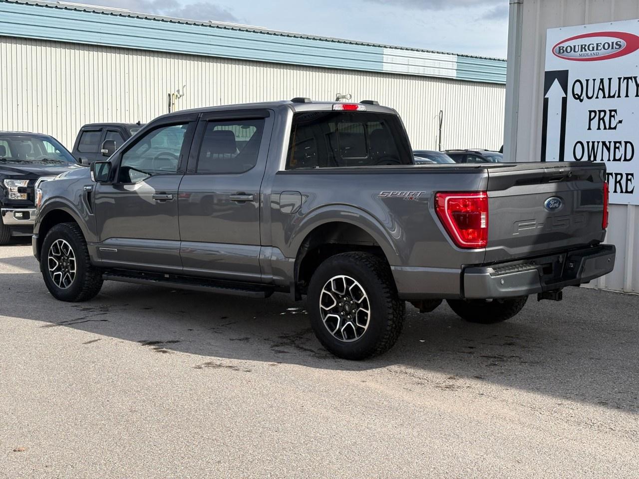2023 Ford F-150 XLT 4WD SuperCrew 5.5' Box Photo