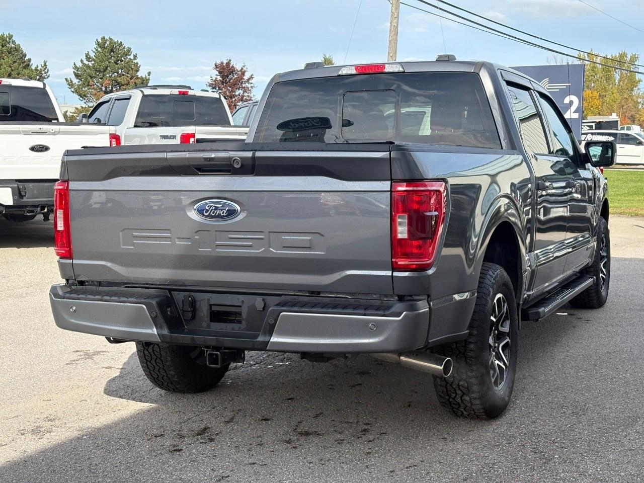 2023 Ford F-150 XLT 4WD SuperCrew 5.5' Box Photo