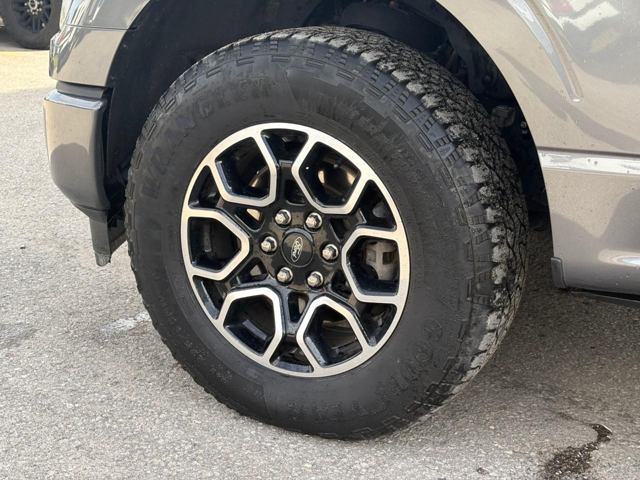 2023 Ford F-150 XLT 4WD SuperCrew 5.5' Box Photo