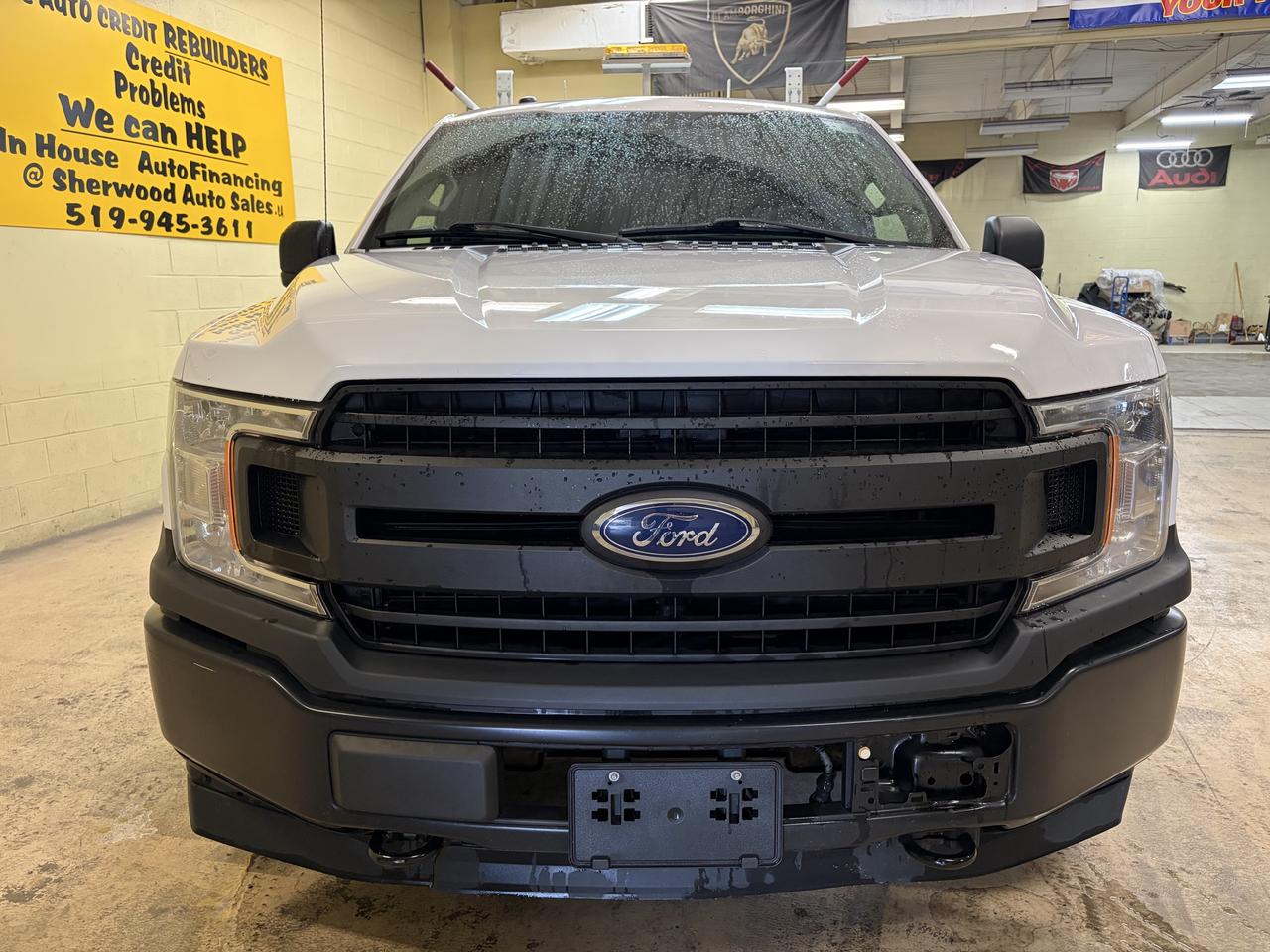 2019 Ford F-150 XL Photo