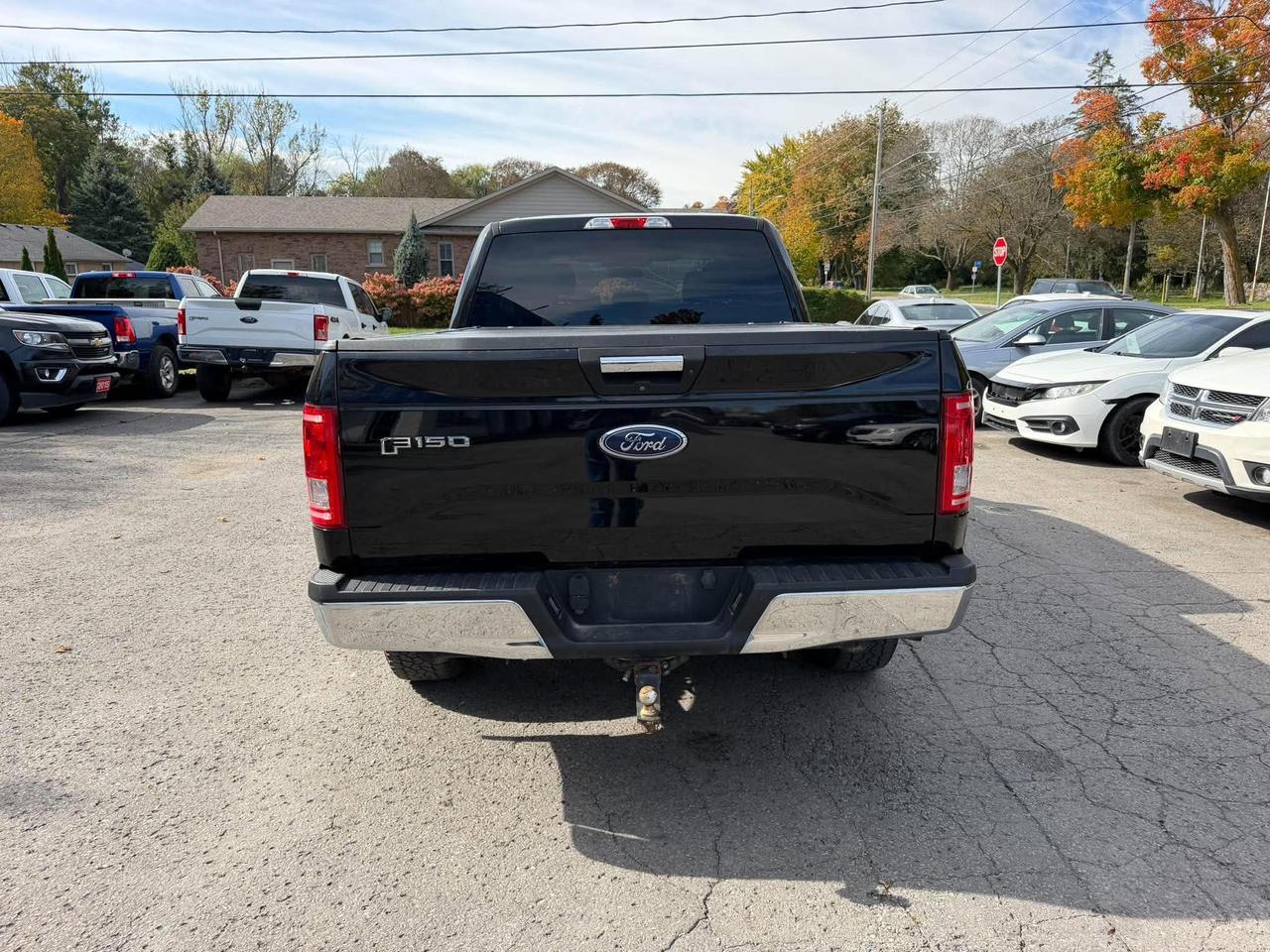 2016 Ford F-150 4WD SUPERCREW 157" XLT - Photo #6