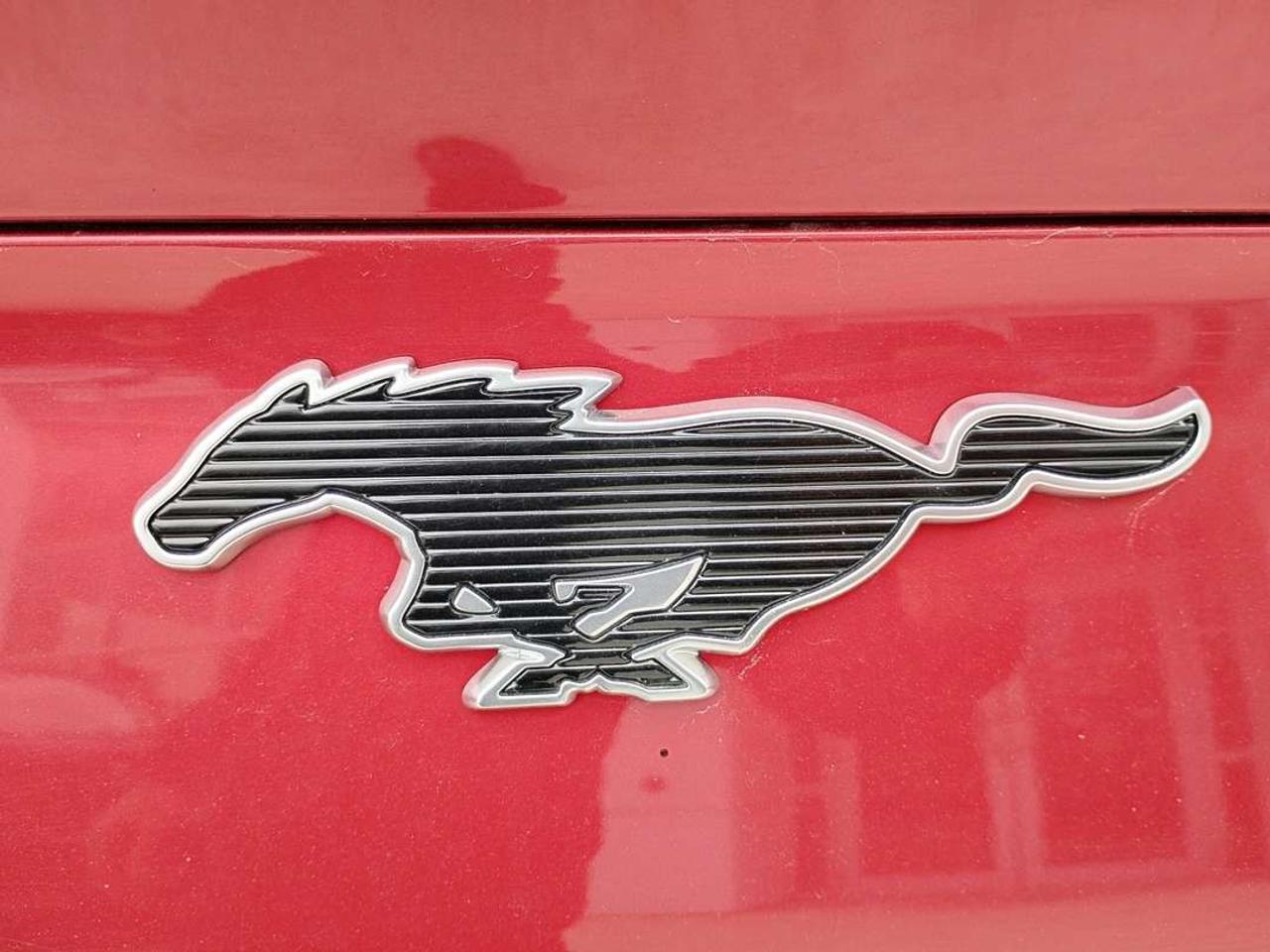 2023 Ford Mustang Mach-E Premium Photo