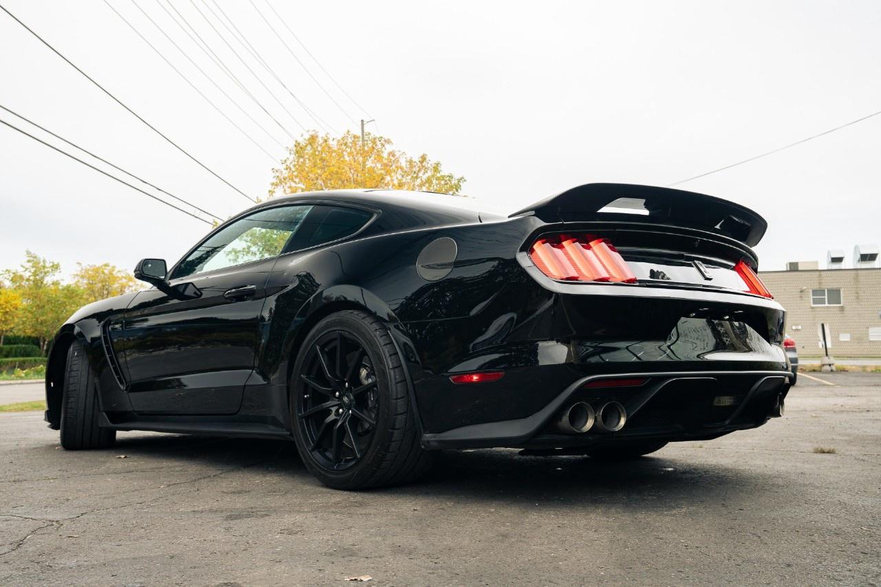 2017 Ford Mustang 2DR FASTBACK SHELBY GT350 Photo