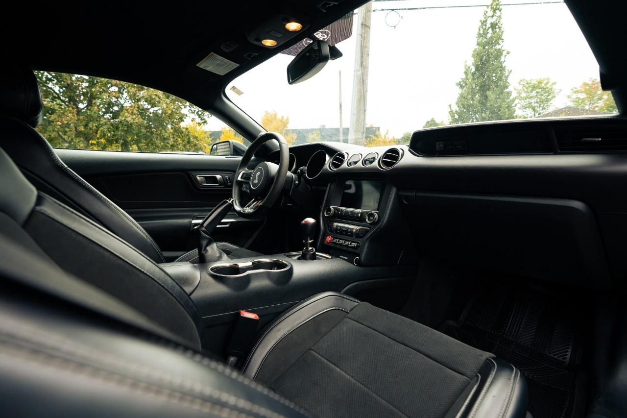 2017 Ford Mustang 2DR FASTBACK SHELBY GT350 Photo