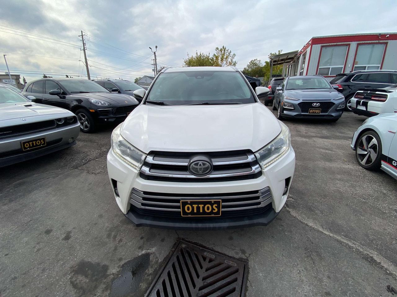 2019 Toyota Highlander XLE Photo