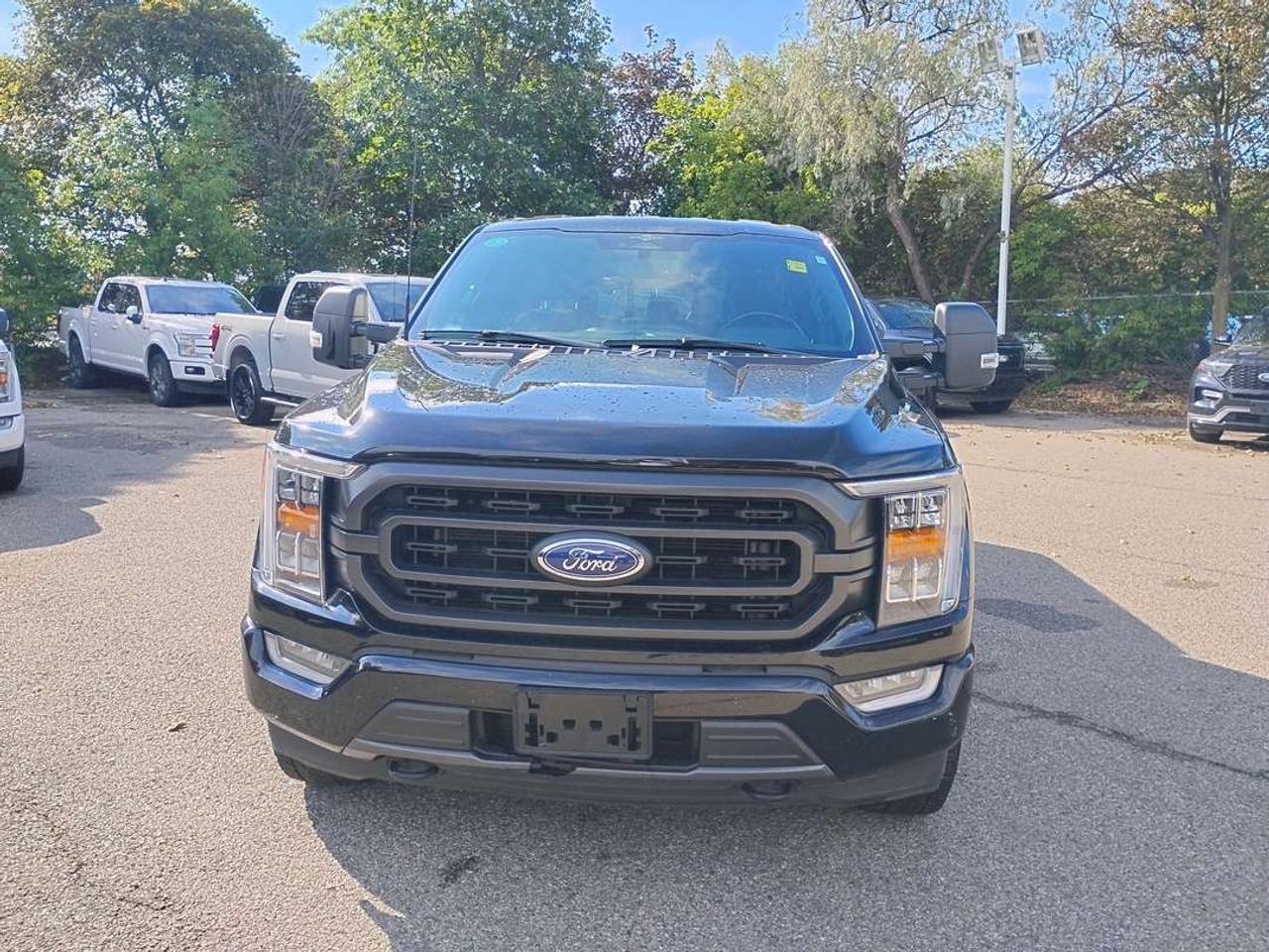 2023 Ford F-150 XLT Photo