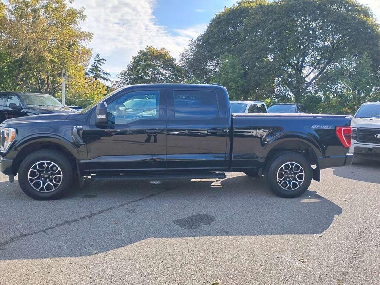 2023 Ford F-150 XLT Photo
