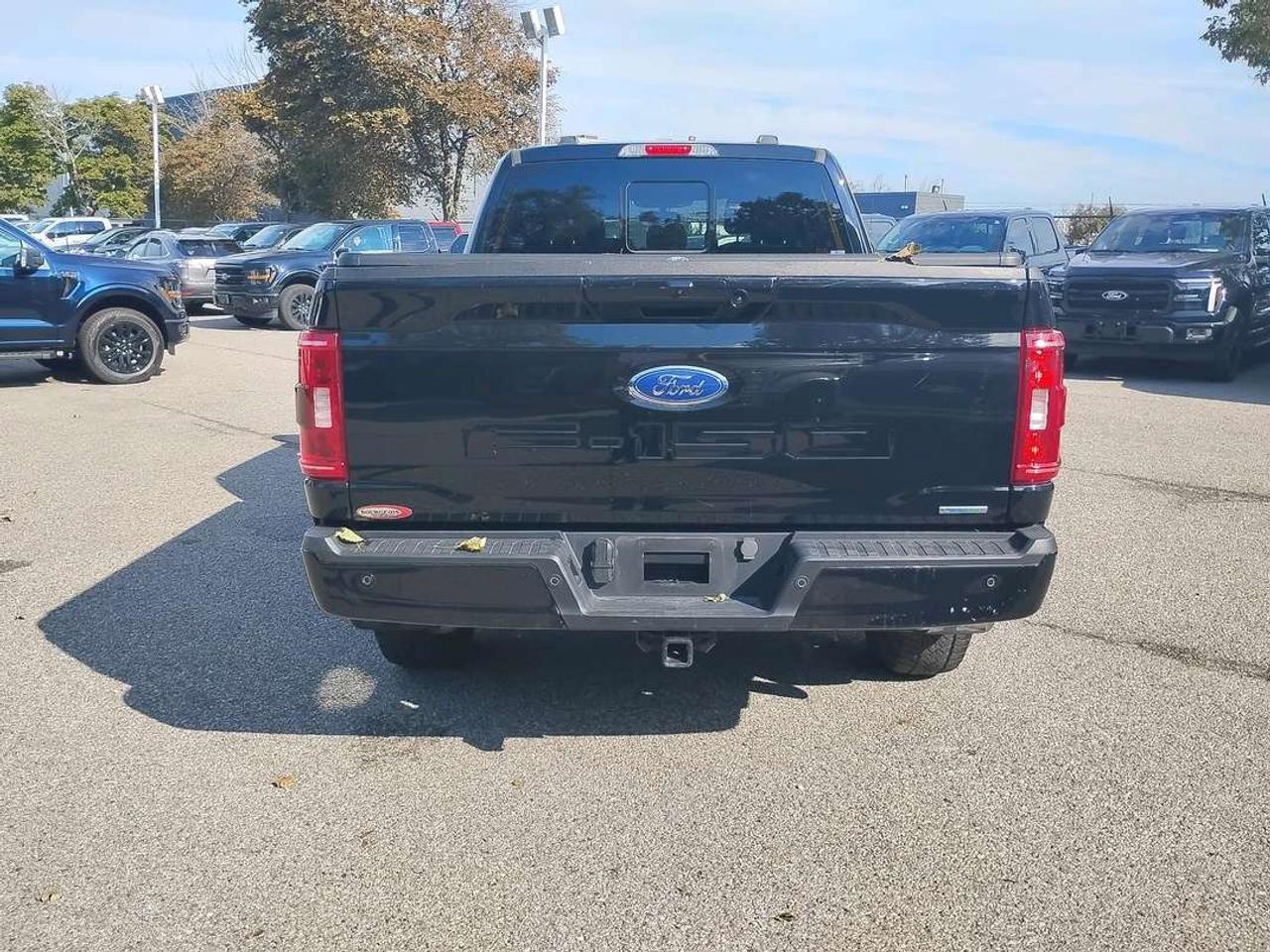 2023 Ford F-150 XLT Photo