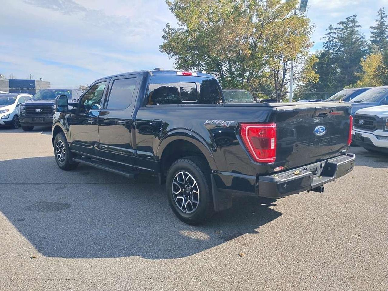 2023 Ford F-150 XLT Photo