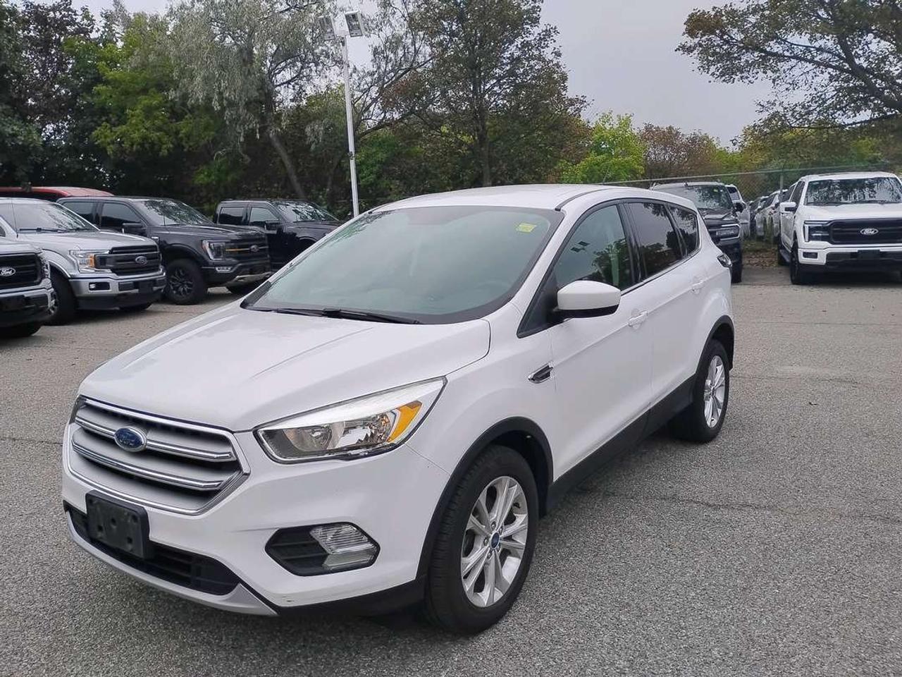 2017 Ford Escape SE Photo5