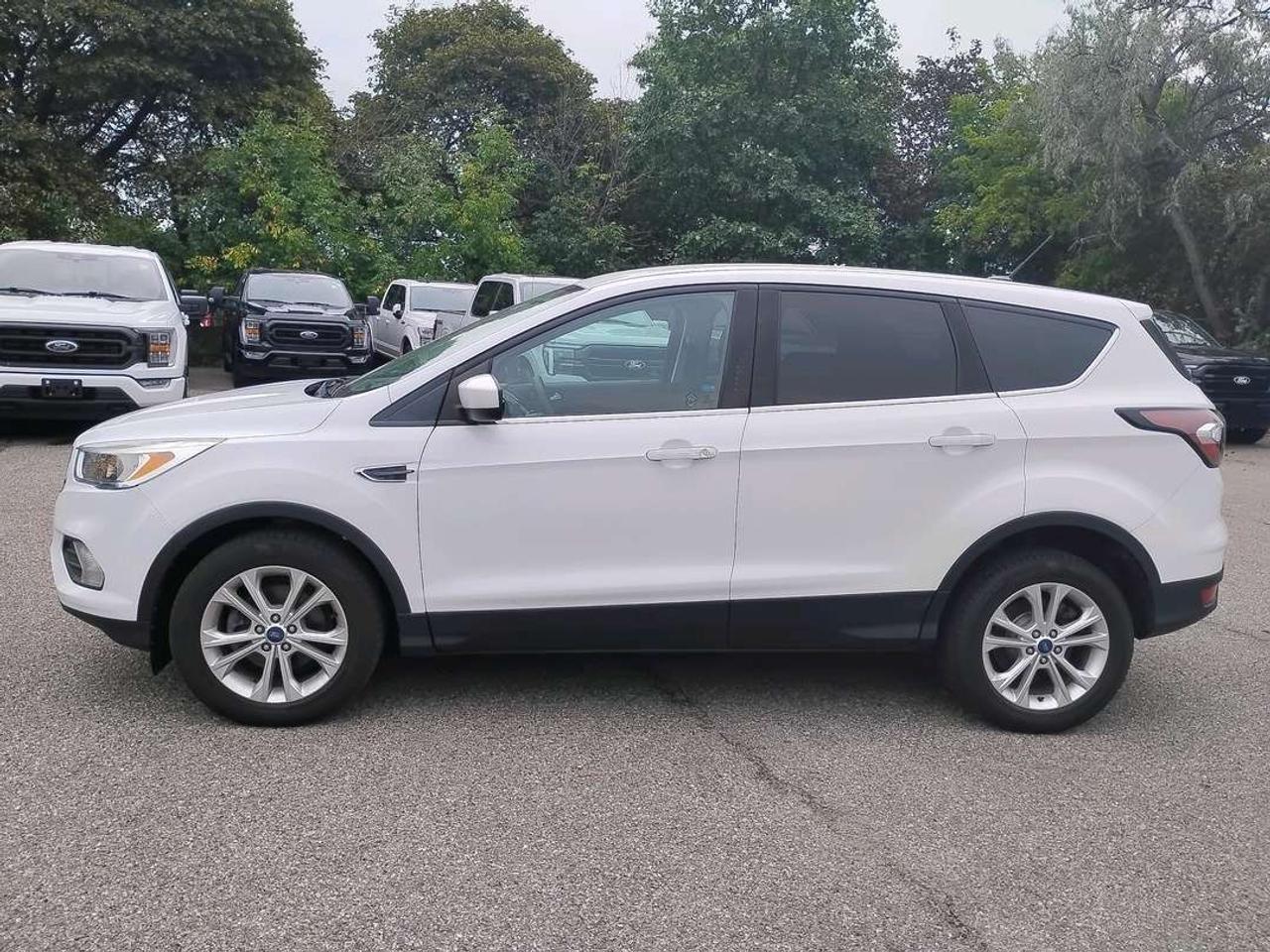 2017 Ford Escape SE Photo