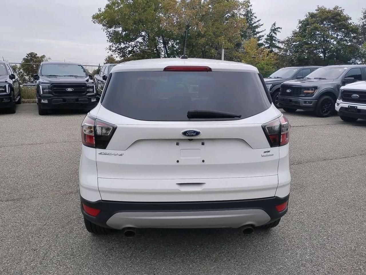 2017 Ford Escape SE Photo
