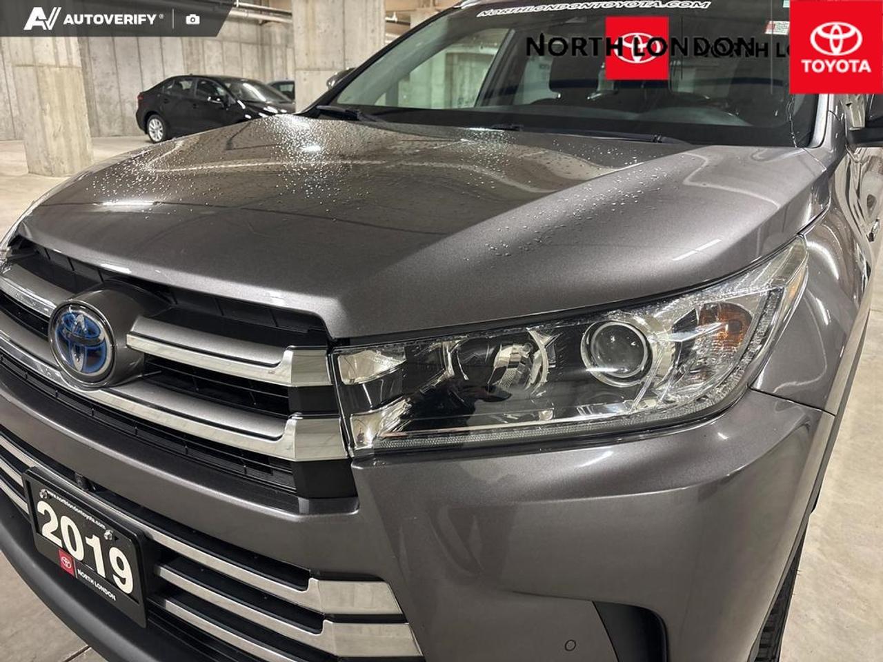2019 Toyota Highlander Hybrid  Photo