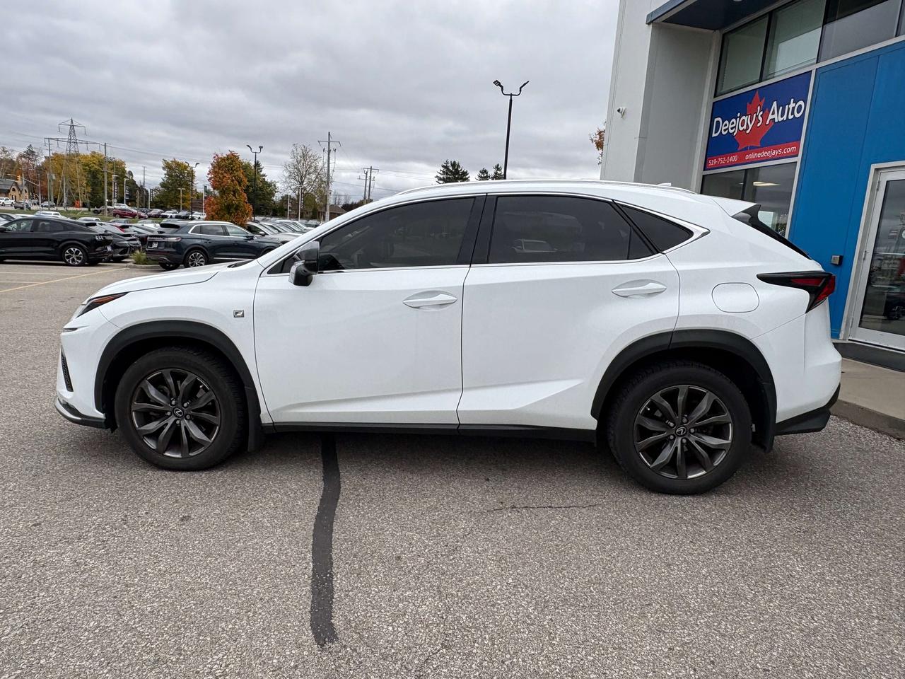 2020 Lexus NX 300 AWD   Leather   NAV   Clean Carfax Photo