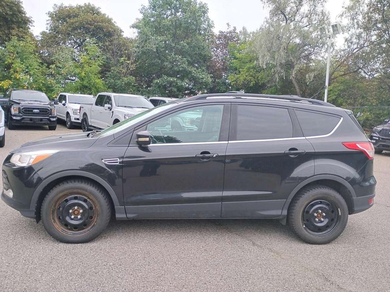 2013 Ford Escape SEL Photo