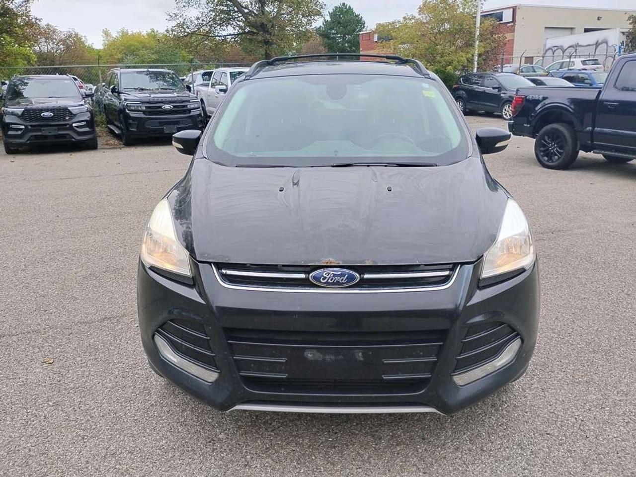 2013 Ford Escape SEL Photo2