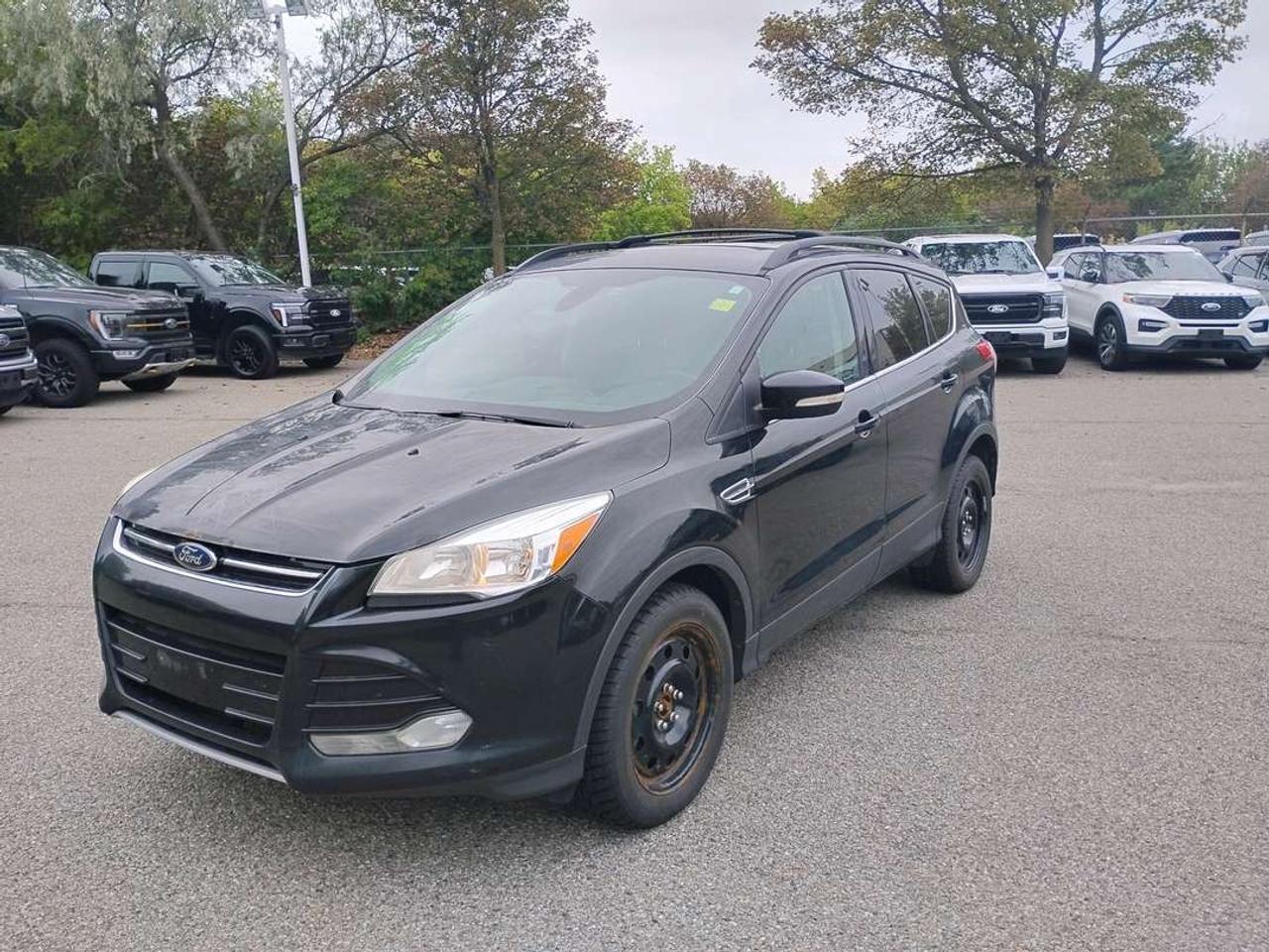 2013 Ford Escape SEL Photo5