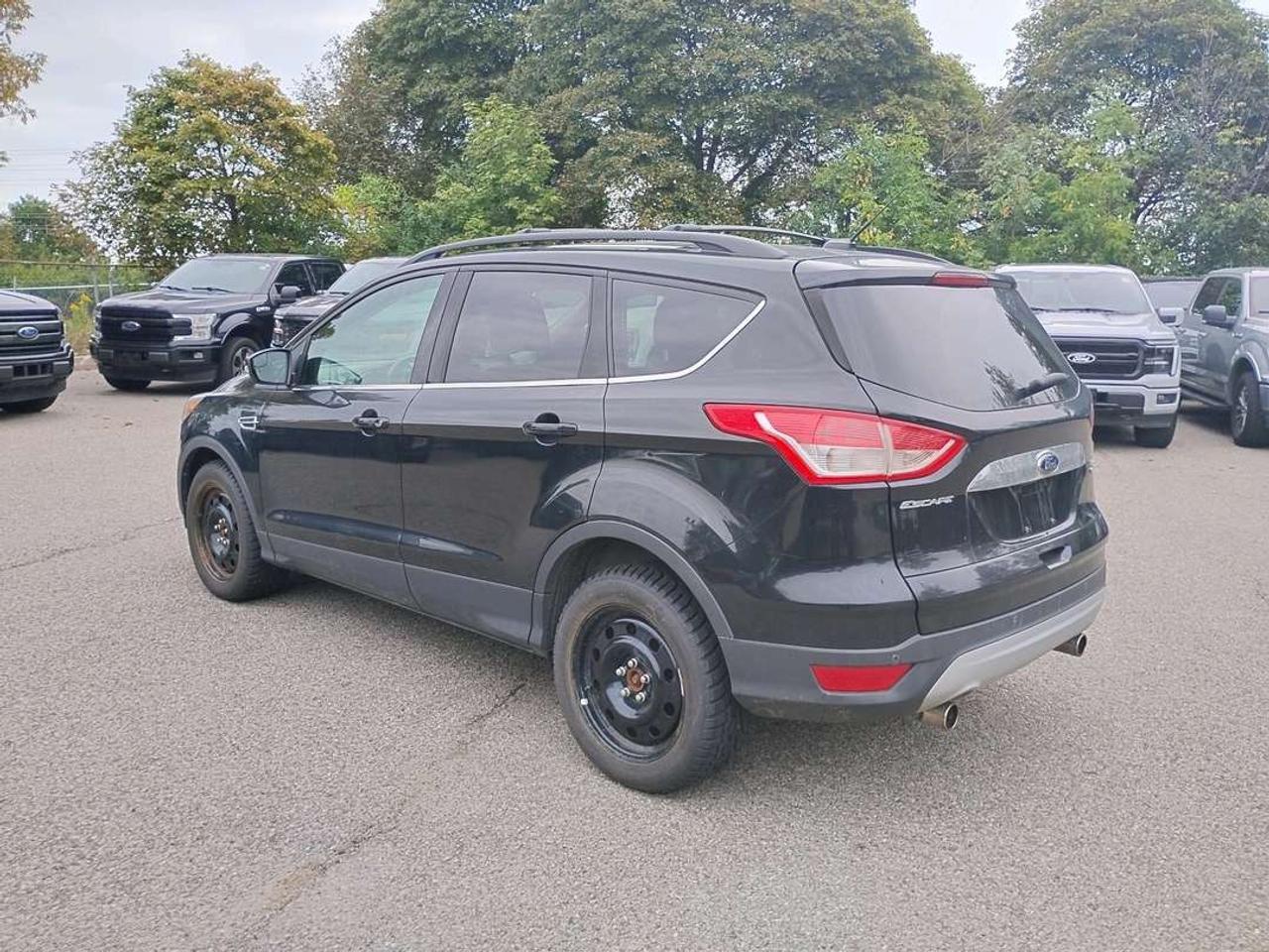 2013 Ford Escape SEL Photo