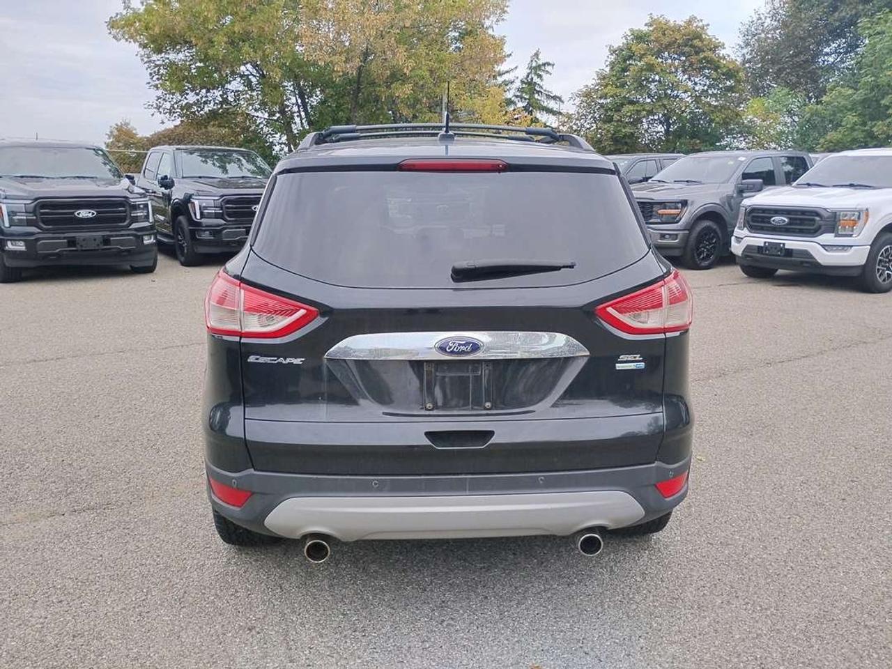 2013 Ford Escape SEL Photo