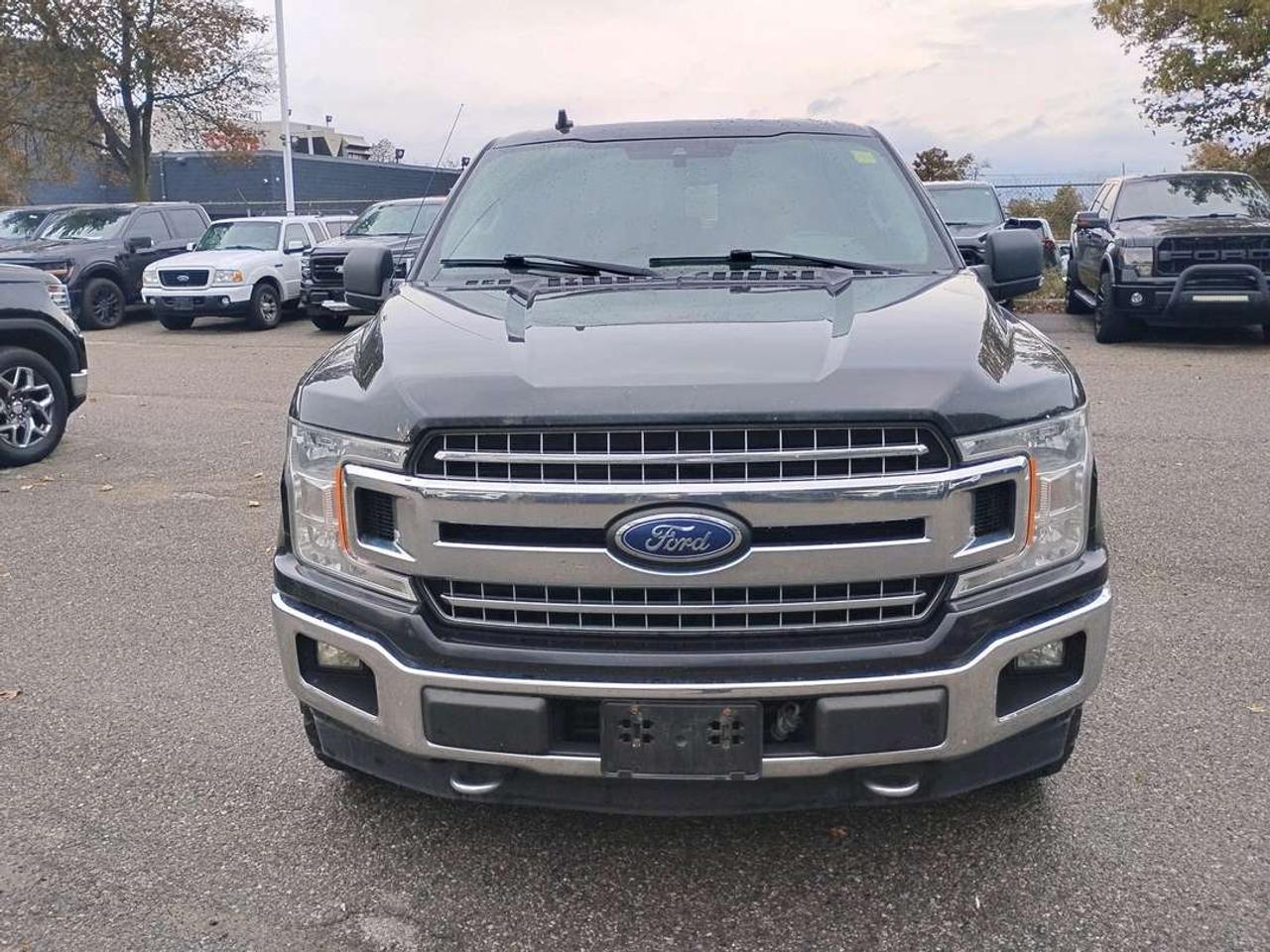 2019 Ford F-150 XLT Photo