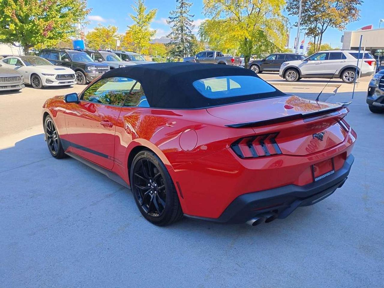 2024 Ford Mustang EcoBoost Premium Photo