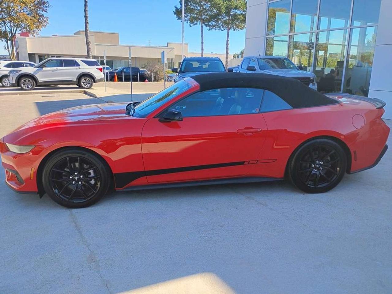 2024 Ford Mustang EcoBoost Premium Photo3