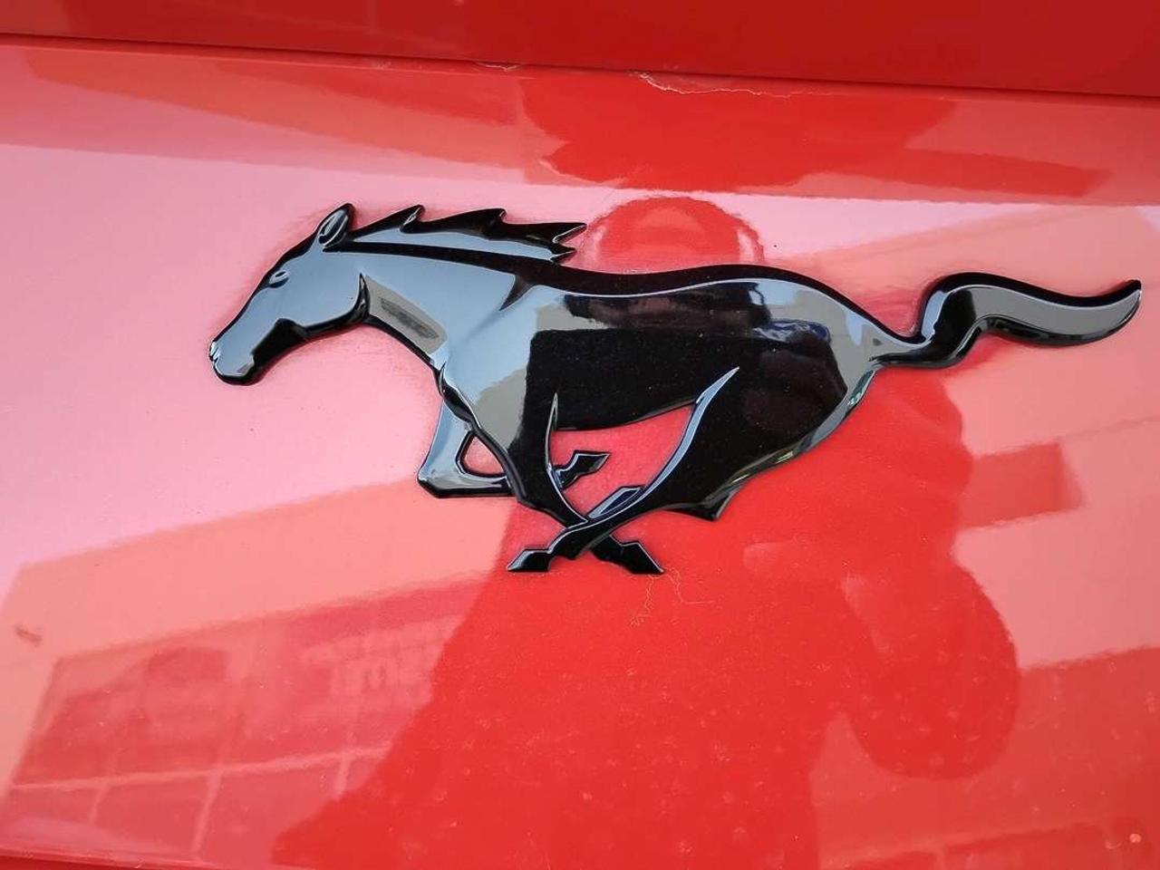 2024 Ford Mustang EcoBoost Premium Photo