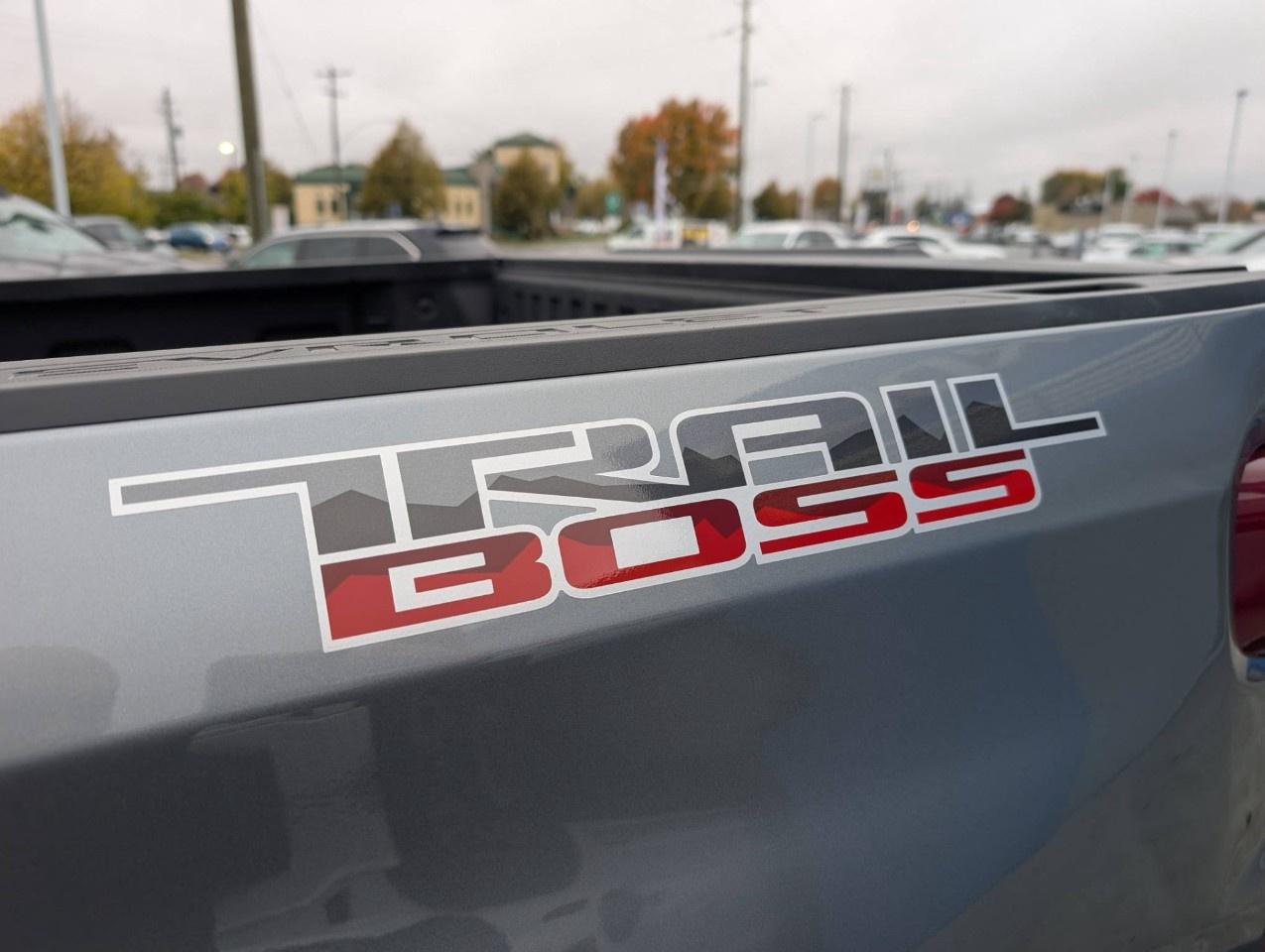 2025 Chevrolet Silverado 1500 Crew Cab Standard Box 4-Wheel Drive Custom Trail Boss Photo